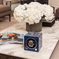 rapport london evo mk3 watchwinder remontoir de montre rolex